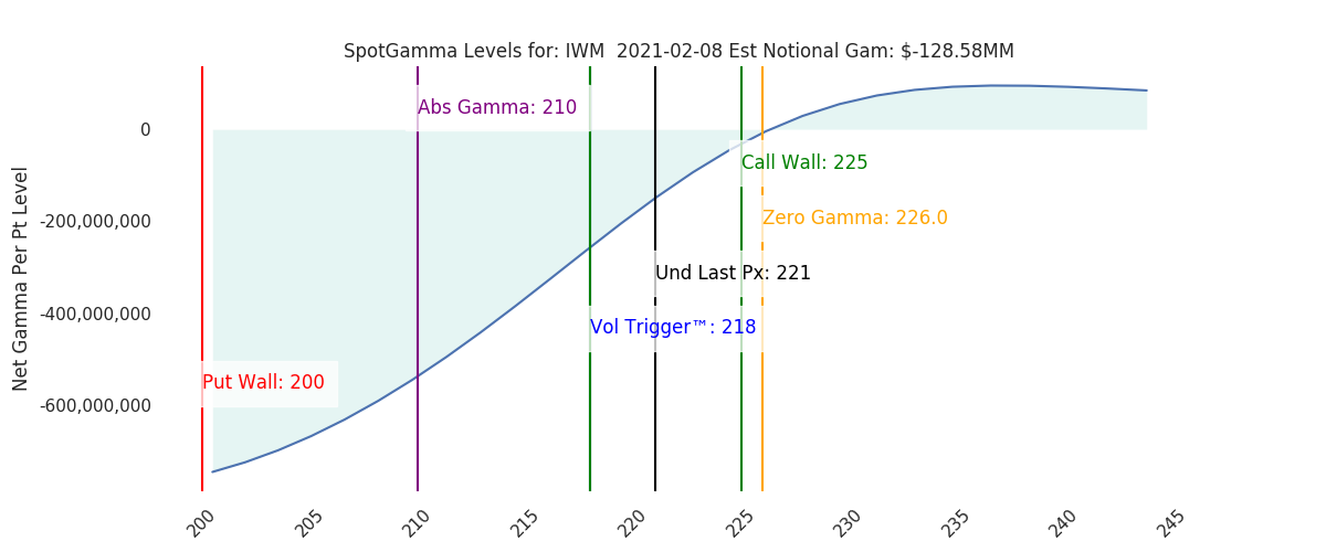2021-02-08_CBOE_gammagraph_AMIWM.png
