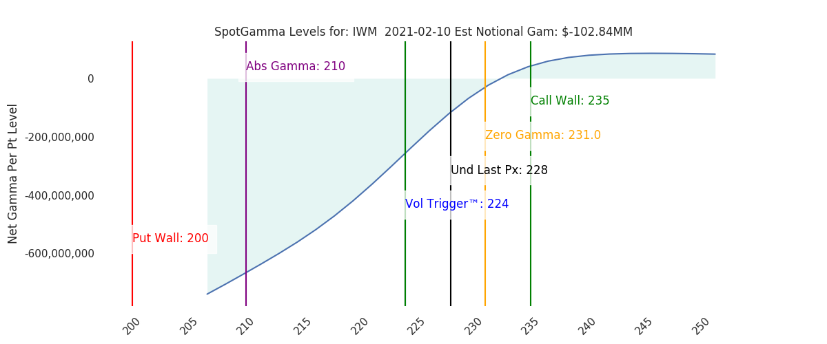 2021-02-10_CBOE_gammagraph_AMIWM.png