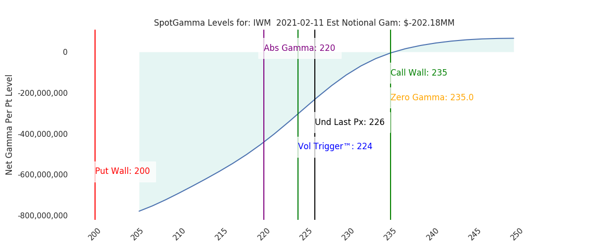 2021-02-11_CBOE_gammagraph_AMIWM.png