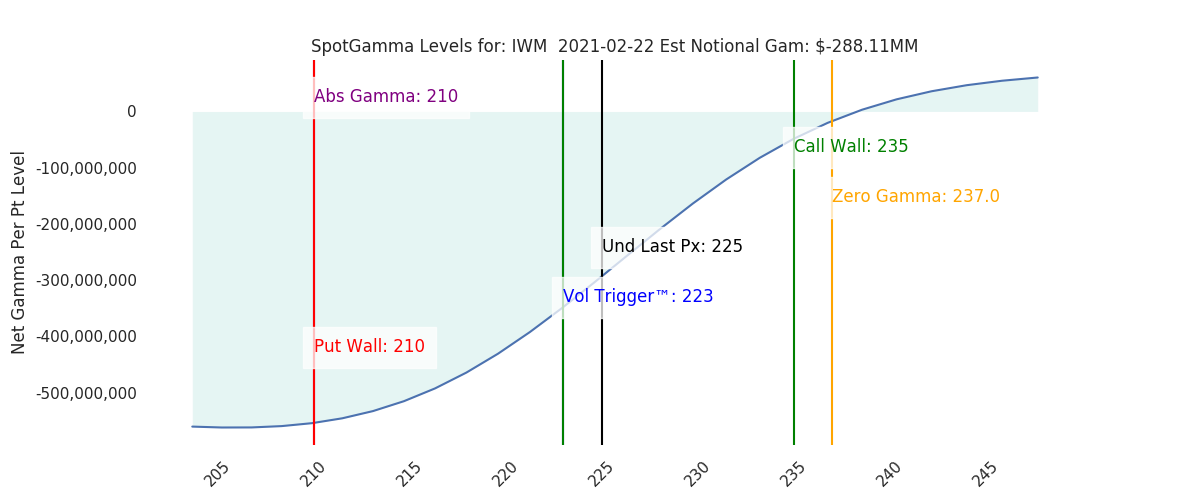 2021-02-22_CBOE_gammagraph_AMIWM.png