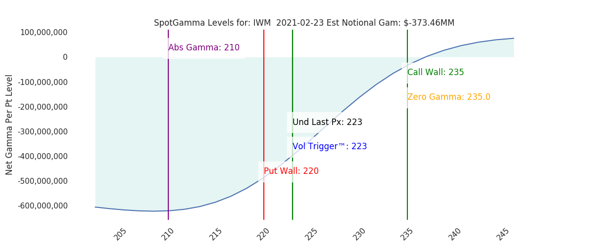 2021-02-23_CBOE_gammagraph_AMIWM.png