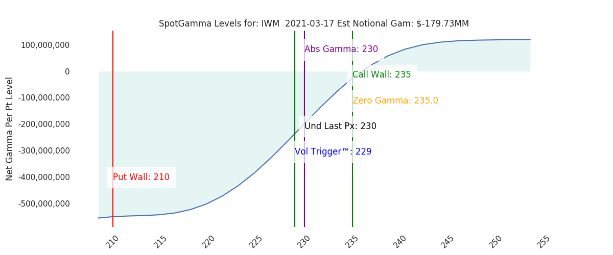 2021-03-17_CBOE_gammagraph_AMIWM.png