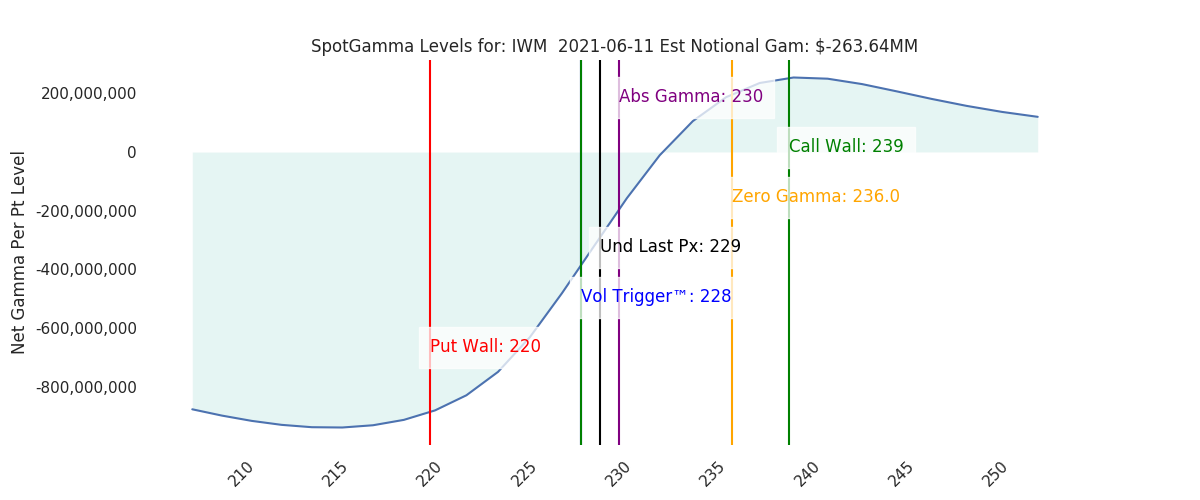 2021-06-11_CBOE_gammagraph_AMIWM.png