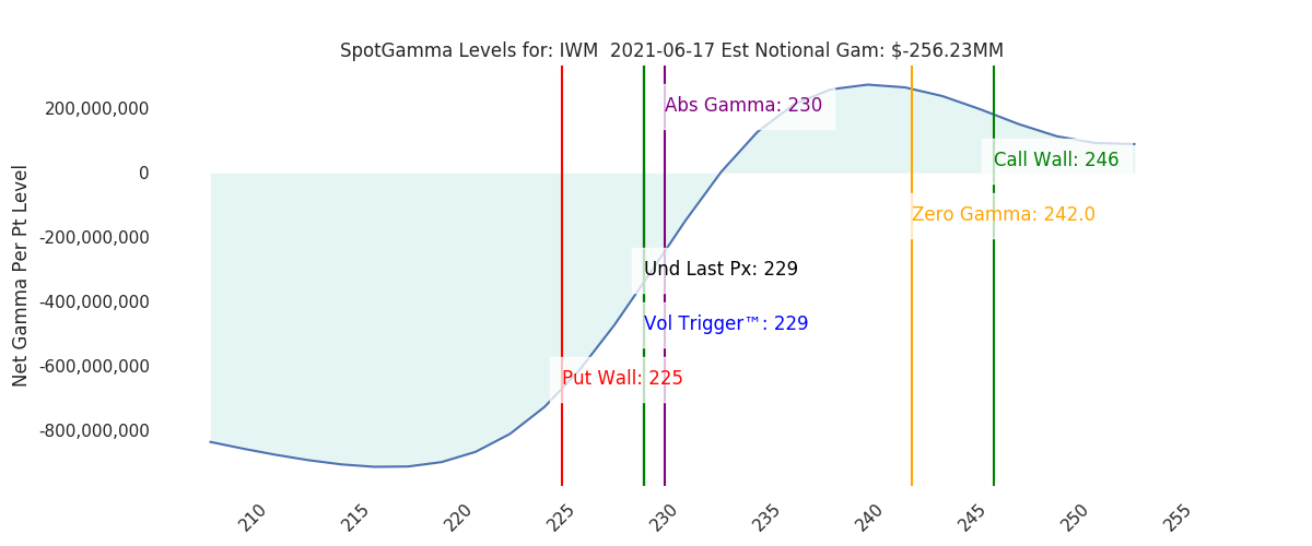 2021-06-17_CBOE_gammagraph_AMIWM.png
