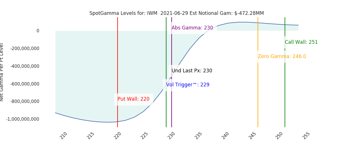 2021-06-29_CBOE_gammagraph_AMIWM.png