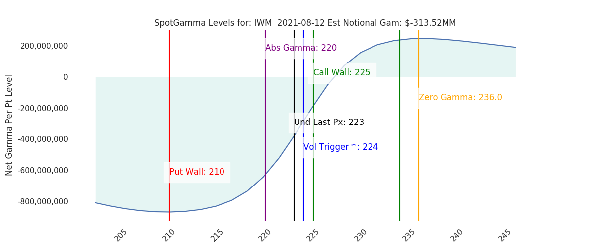 2021-08-12_CBOE_gammagraph_AMIWM.png