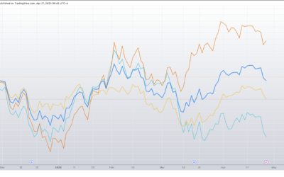 Informe Option Levels