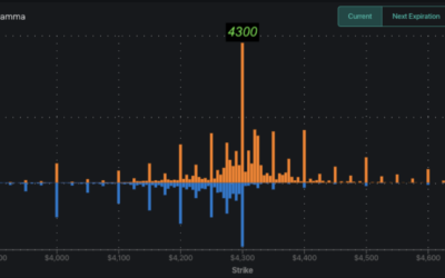 Informe Option Levels