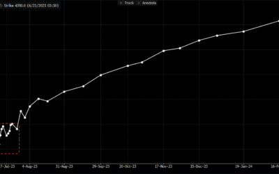 Informe Option Levels