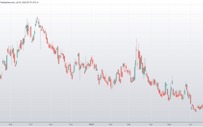 Informe Option Levels