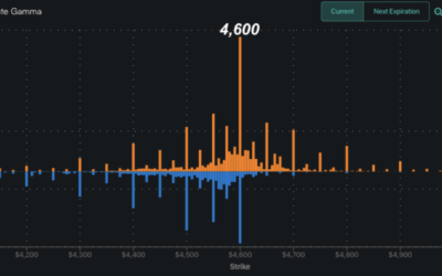 Informe Option Levels