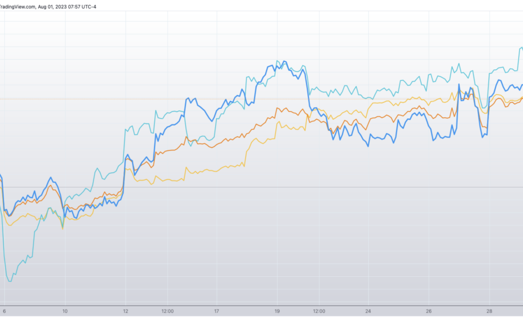 Informe Option Levels