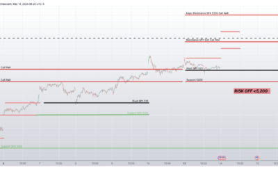 Informe Option Levels