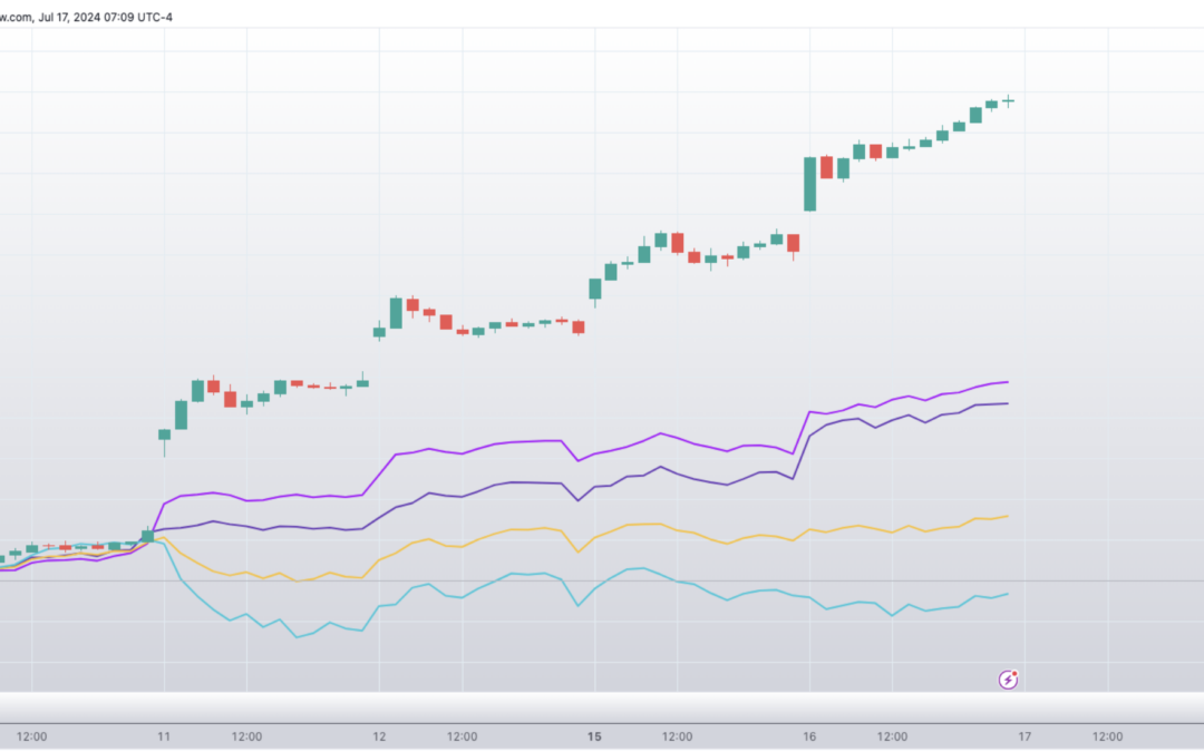 Informe Option Levels