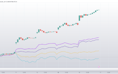 Informe Option Levels