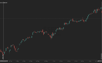 Informe Option Levels