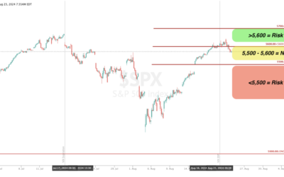 Informe Option Levels