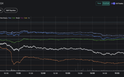 Informe Option Levels