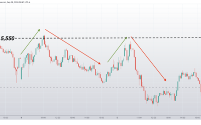 Informe Option Levels