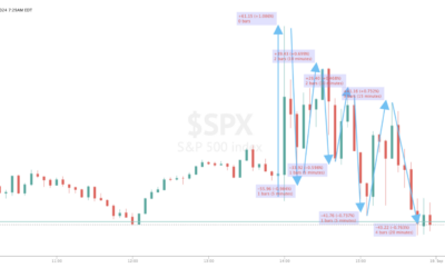 Informe Option Levels