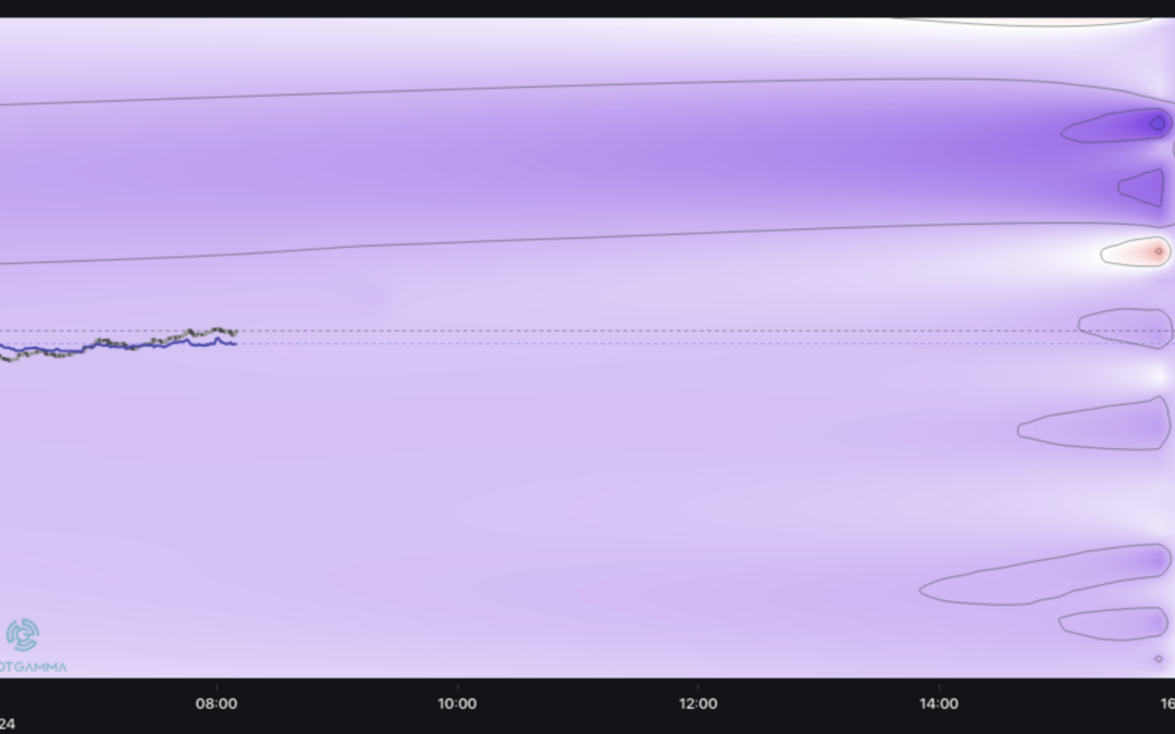 Informe Option Levels