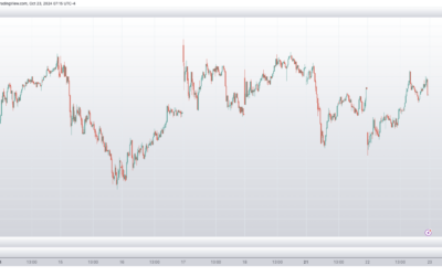 Informe Option Levels