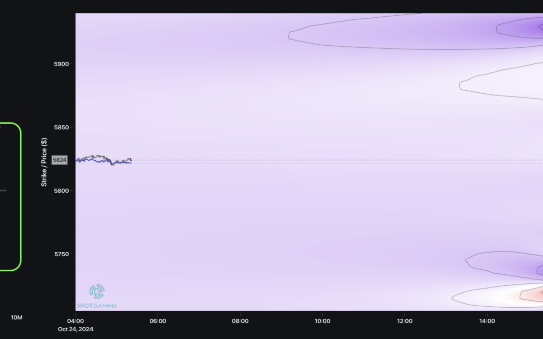 Informe Option Levels