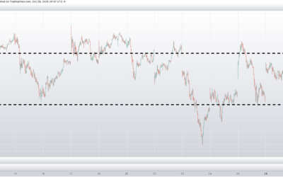 Informe Option Levels
