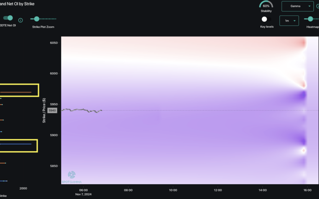 Informe Option levels