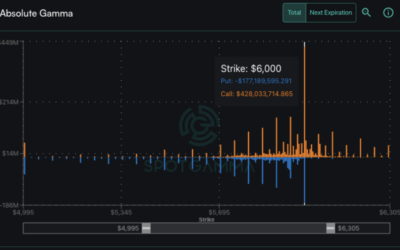 Informe Option Levels