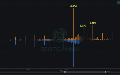Informe Option Levels