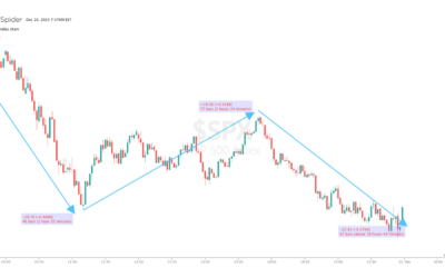 Informe Option Levels