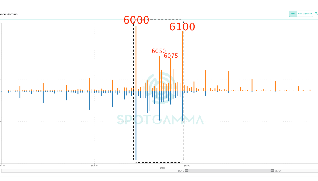 Informe Option Levels