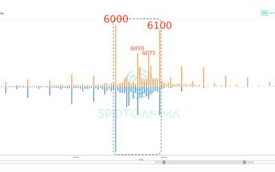 Informe Option Levels
