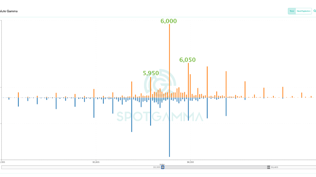 Informe Option Levels