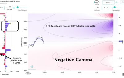 Informe Option Levels