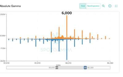 Informe Option Levels