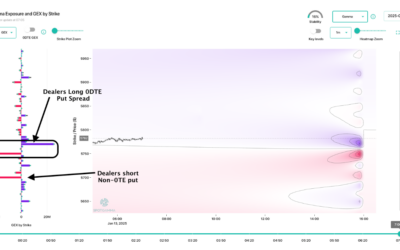 Informe Option Levels