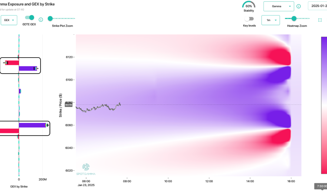 Informe Option Levels