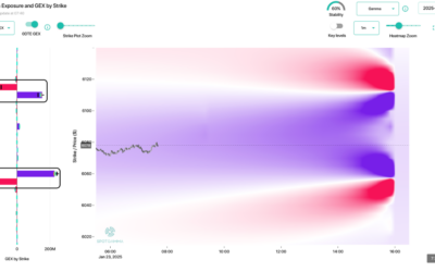 Informe Option Levels