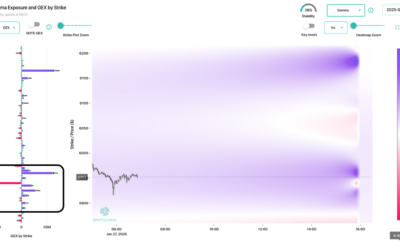 Informe Option Levels