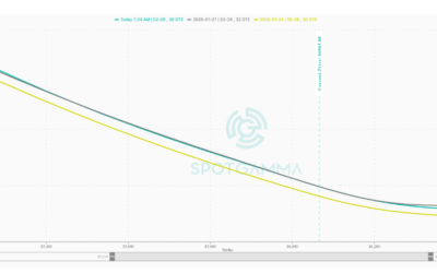 Informe Option Levels