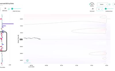 Informe Option Levels