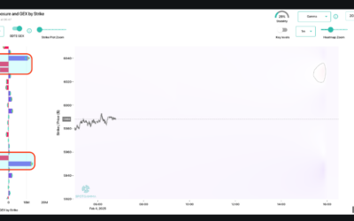 Informe Option Levels