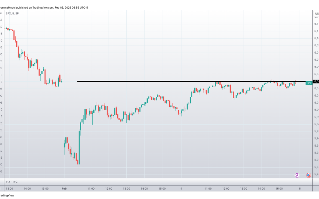 Informe Option Levels