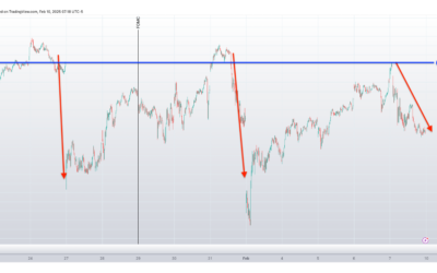 Informe Option Levels