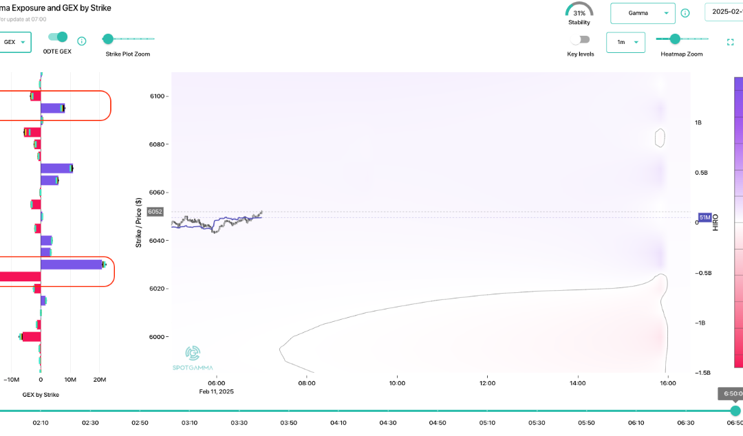 Informe Option Levels