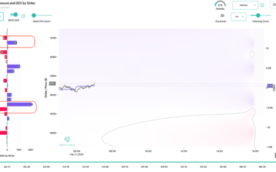 Informe Option Levels