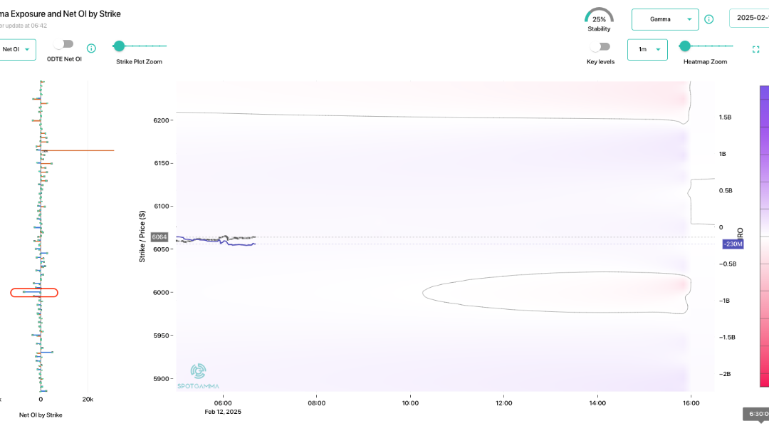 Informe Option Levels