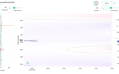 Informe Option Levels